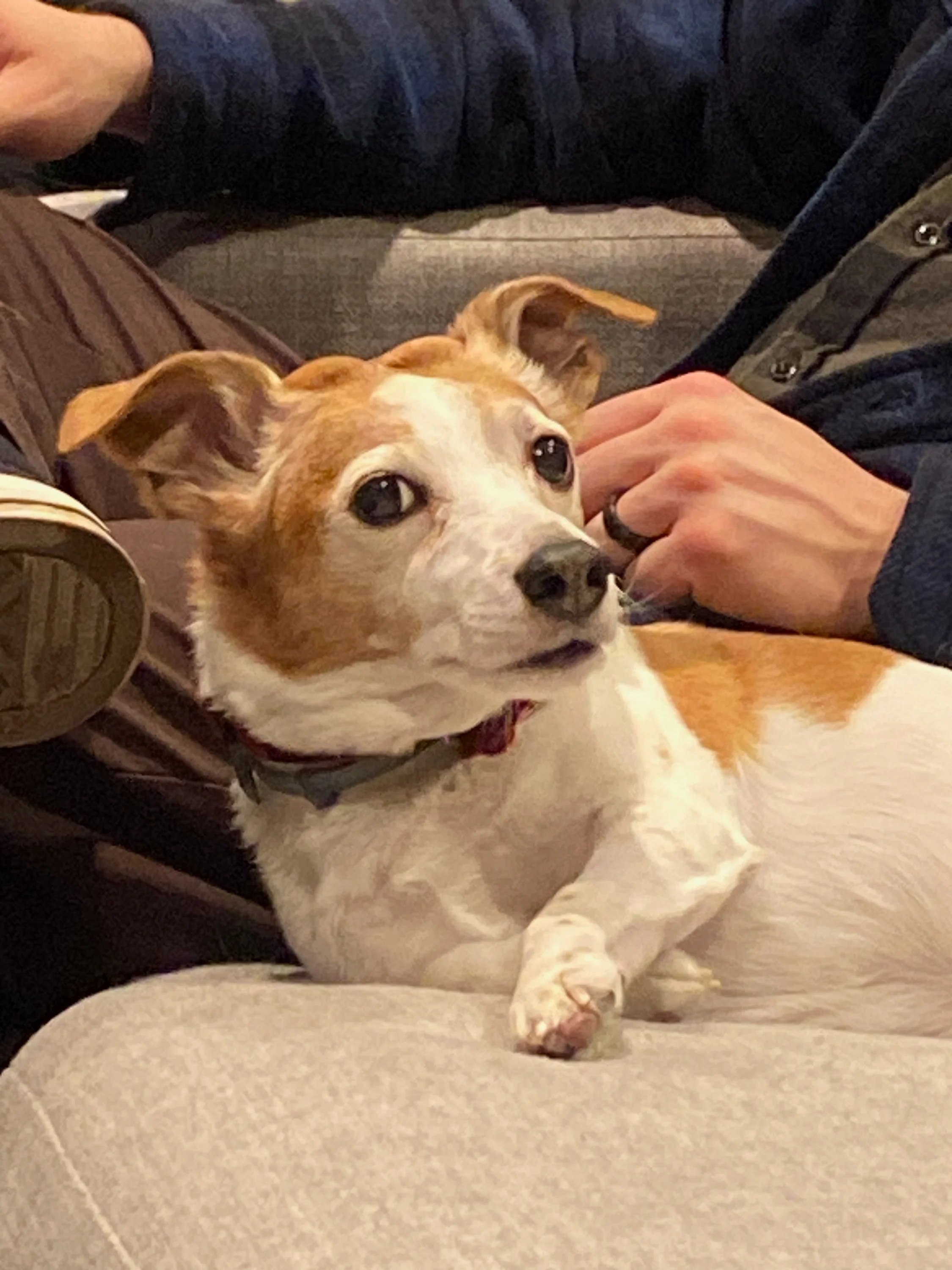 Joey chillin' like a villian
