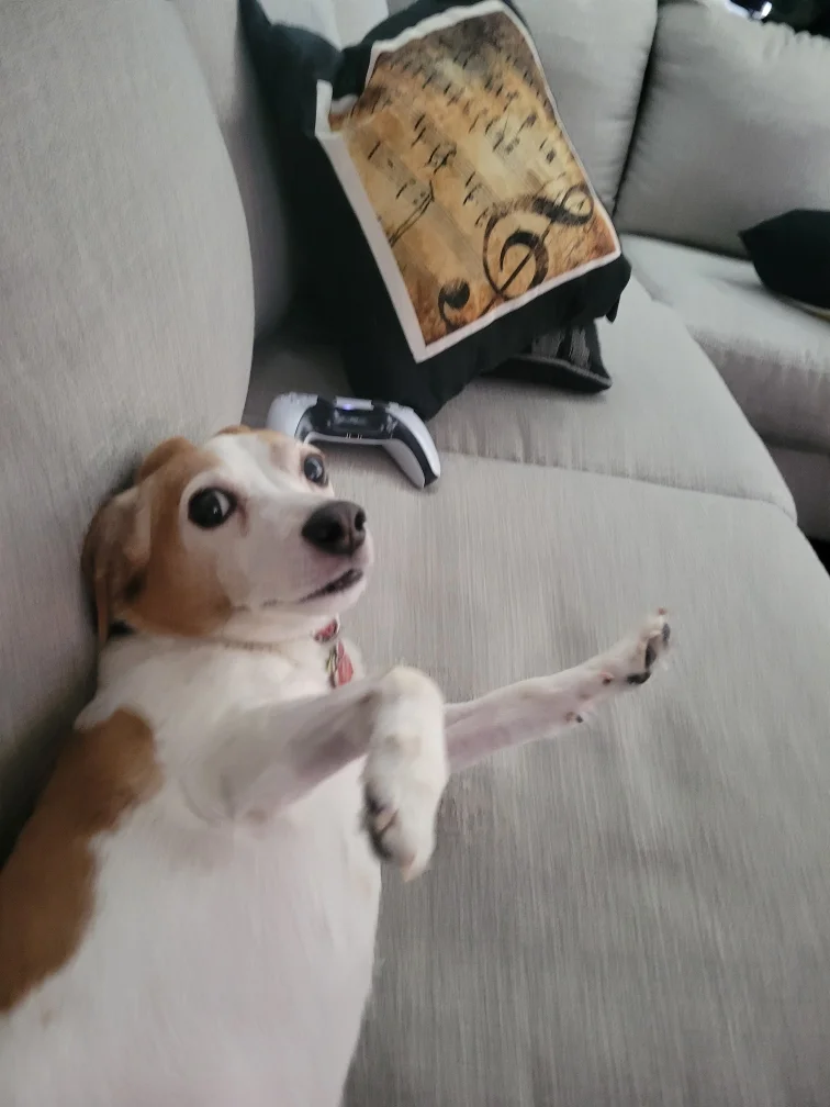 smol stretch