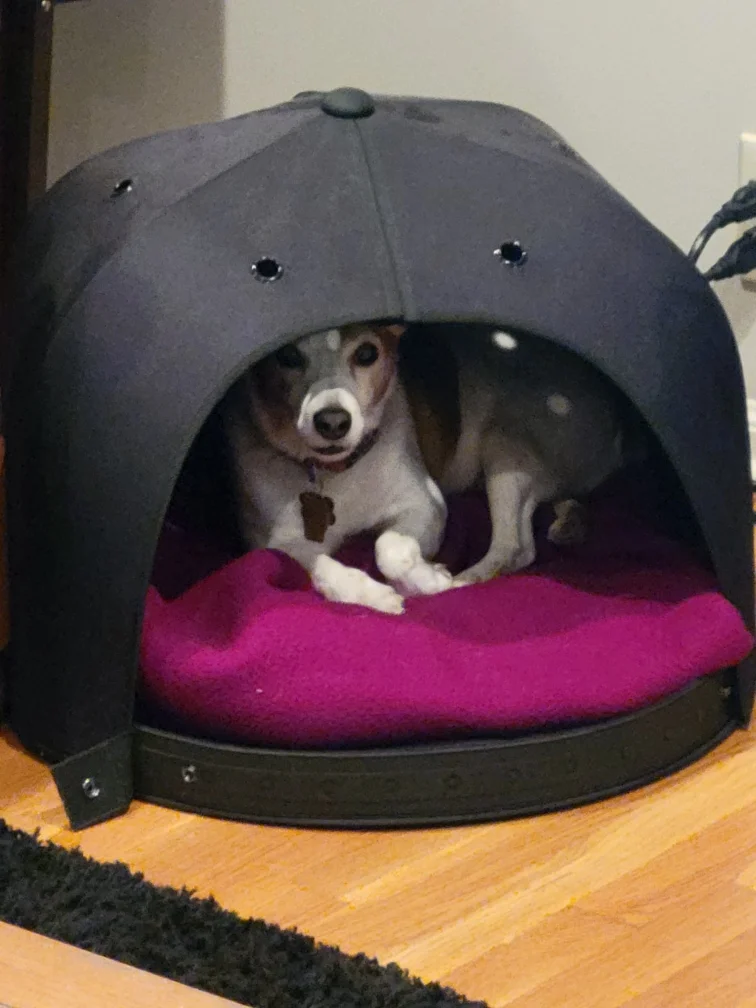 Joey's hat kingdom