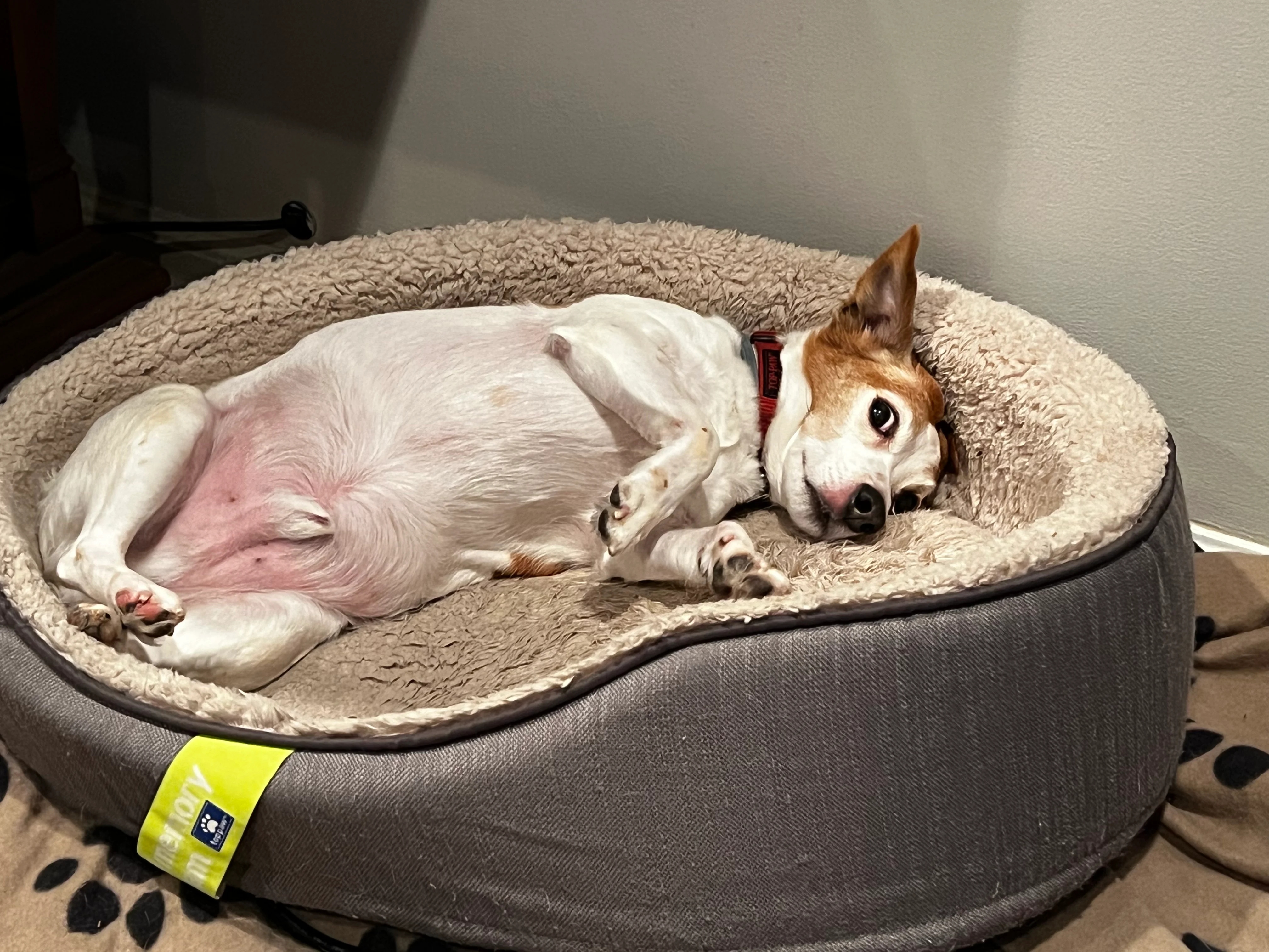 When in doubt belly out