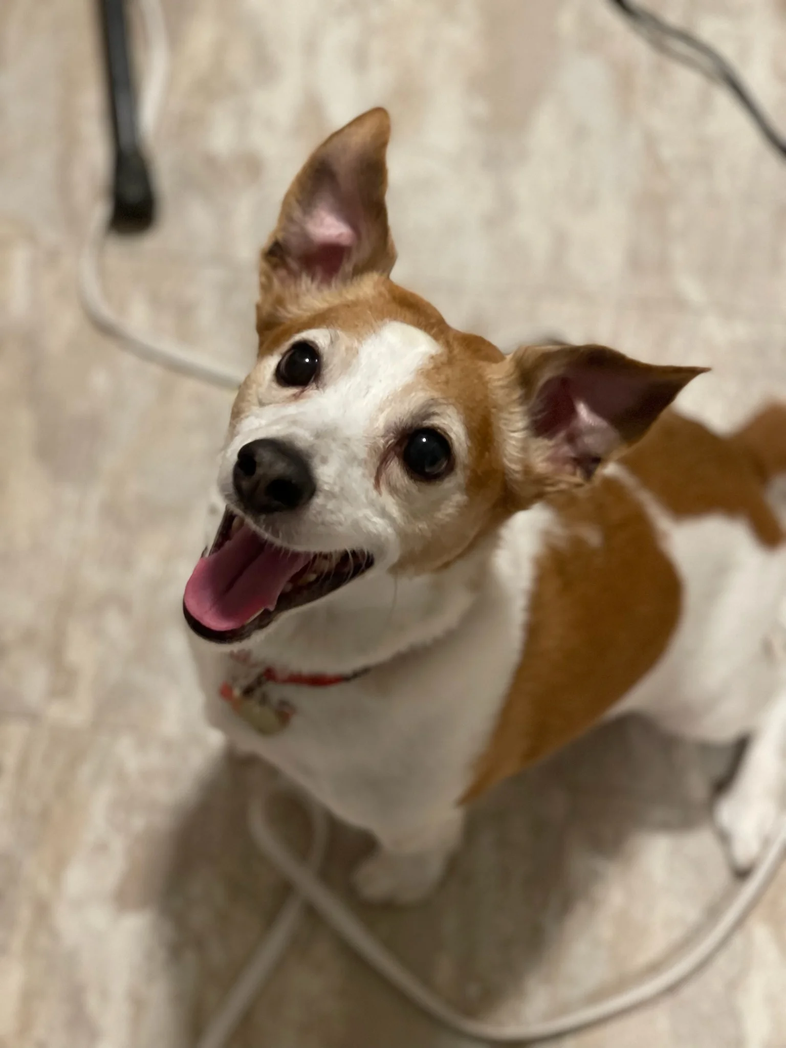 :D